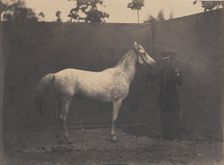 Pascaline, ca. 1855-60. Creator: Adrien Alban Tournachon