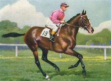 Pasch, Jockey: G. Richards 1939