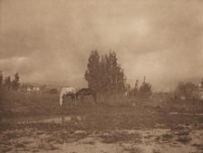 Pasadena Landscape, 1899. Creator: William B Post