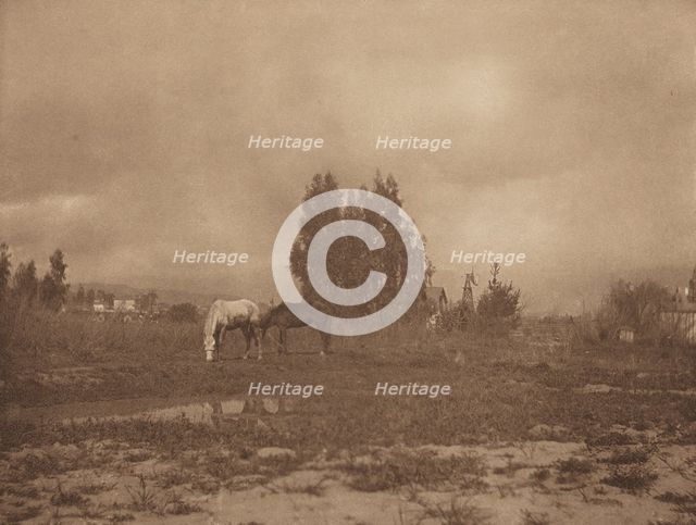 Pasadena Landscape, 1899. Creator: William B Post.