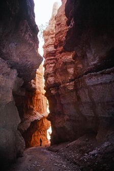 Passage. Creator: Robert Manno