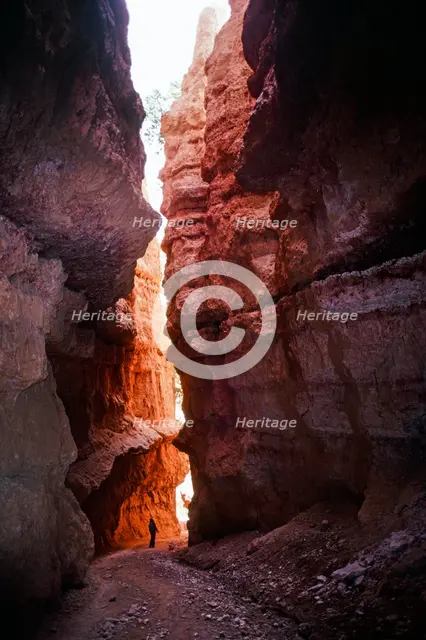 Passage. Creator: Robert Manno.