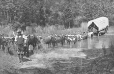 'Passage d'une riviere au Natal; Afrique Australe 1914. Creator: Unknown