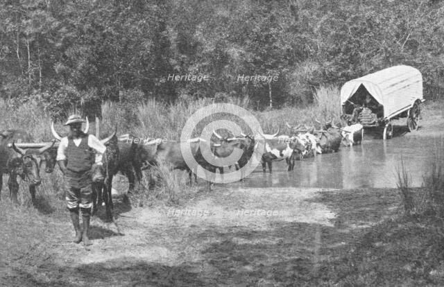 ''Passage d'une riviere au Natal; Afrique Australe', 1914. Creator: Unknown.