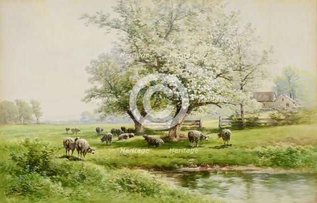 Pastoral Landscape, late 19th-early 20th century. Creator: Carl Weber.