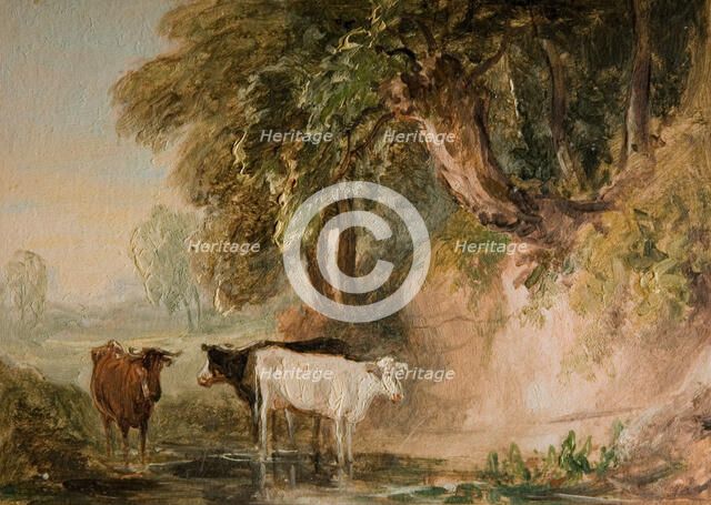 Pastoral Scene With Cattle, [19th century]. Creator: Lines Family.