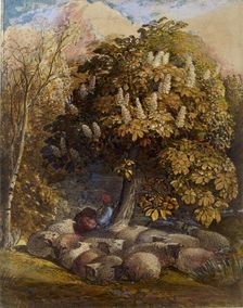 Pastoral with a Horse Chestnut Tree, c1830-1831. Artist: Samuel Palmer