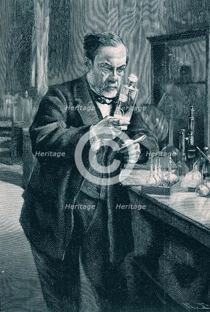 Pasteur, Louis (1822 - 1895), French chemist and bacteriologist,  engraving.