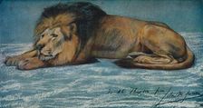 Pastel Study of a Lion c1900. Artist: John MacAllan Swan