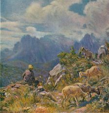 Pastures in the Apuan Alps c1922. Artist: Alfredo Vaccari
