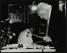 Peter Appleyard playing the vibraphone at The Fairway, Welwyn Garden City, Hertfordshire, 1999. Creator: Denis Williams