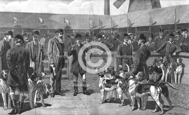 ''Peterborough Foxhound Show - Before the Judges, 1890. Creator: John Charlton.