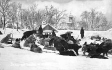 Petropavlovsk-Kamchatsky in winter; dog sleds against the backdrop of the Peter and Paul..., 1910-19 Creator: Ivan Emelianovich Larin