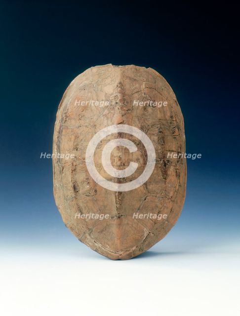 Petrified tortoise shell with oracle bone inscriptions, possibly Shang Dynasty, China, c1400 BC. Artist: Unknown