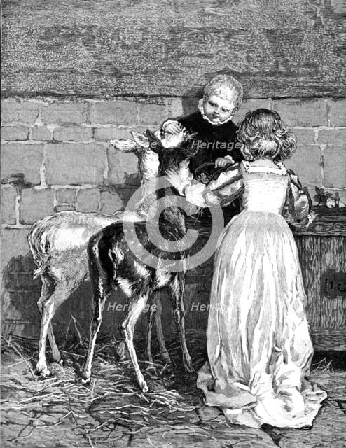 Pets of the House: A Christmas Feast, drawn by Percy Tarrant, 1883. Creator: Unknown.