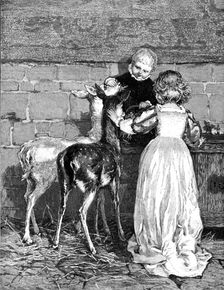 Pets of the House: A Christmas Feast, drawn by Percy Tarrant, 1883. Creator: Unknown
