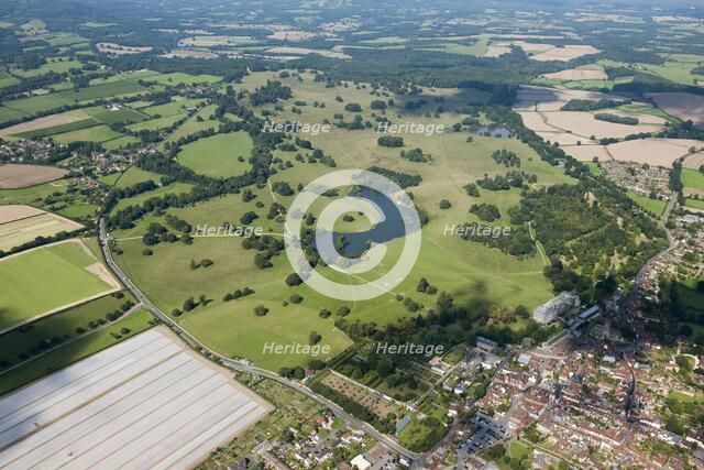 Petworth Park, West Sussex, c2015. Artist: Damian Grady.