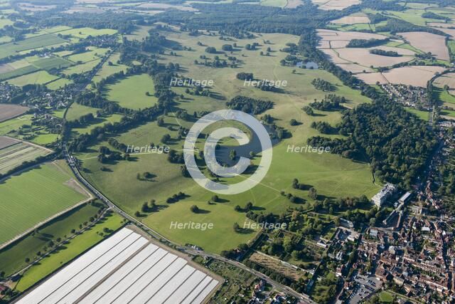 Petworth Park, West Sussex, c2015. Artist: Damian Grady.