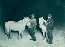 Petty Officers Crean and Evans Exercising Their Ponies in the Winter 1911, (1913). Artist: Herbert Ponting