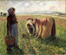 Pea Harvest, Eragny, 1893. Creator: Pissarro, Camille (1830-1903)