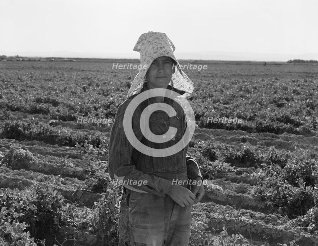Pea picker at the end of the day, near Calipatria, 1939. Creator: Dorothea Lange.