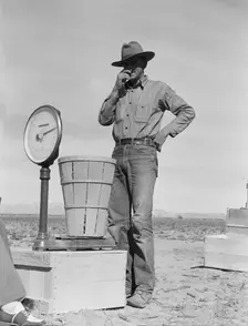 Pea picker at scales, near Calipatria, Imperial Valley, California, 1939. Creator: Dorothea Lange