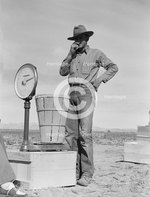 Pea picker at scales, near Calipatria, Imperial Valley, California, 1939. Creator: Dorothea Lange.