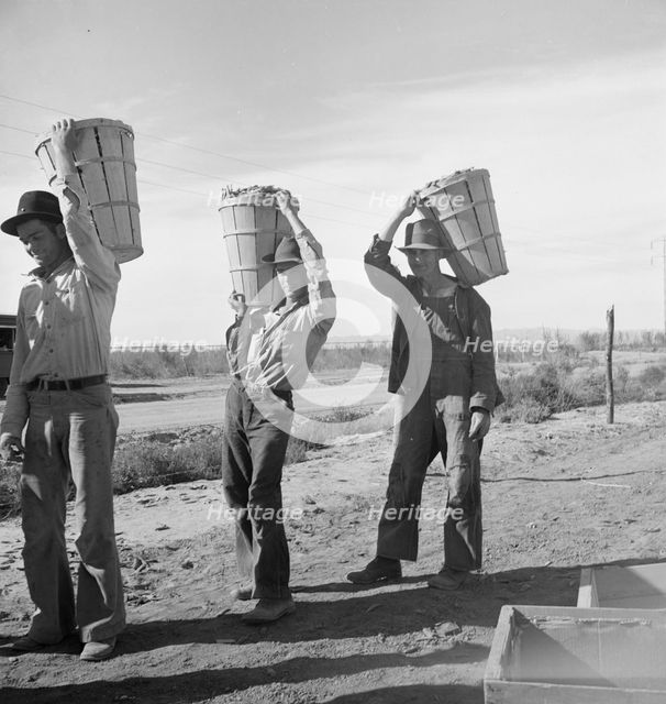 Pea pickers coming in from field to the weigh master, Imperial Valley, California, 1939. Creator: Dorothea Lange.