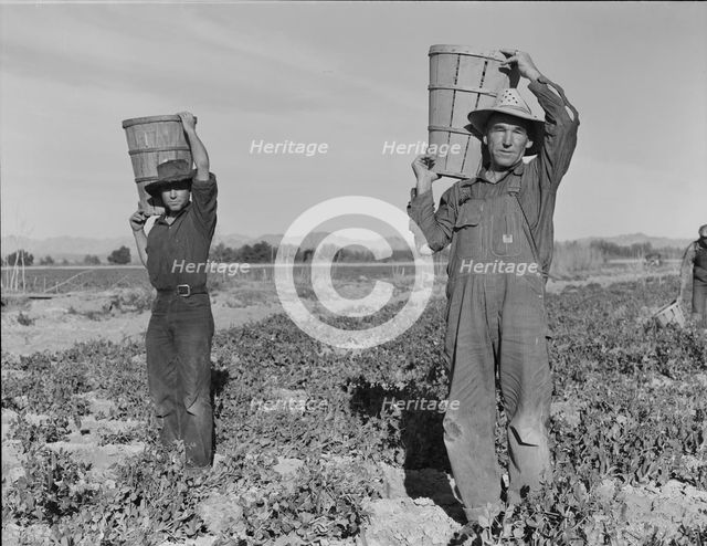 Pea pickers coming into the weigh master, near Calipatria, California, 1939. Creator: Dorothea Lange.