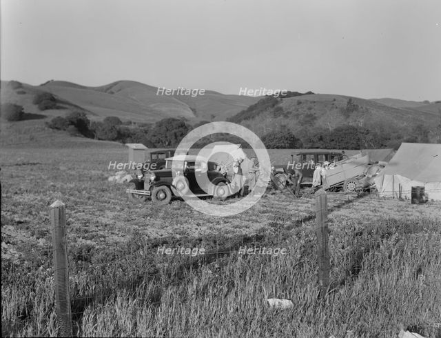 Pea pickers' camp near San Jose, California, 1937. Creator: Dorothea Lange.
