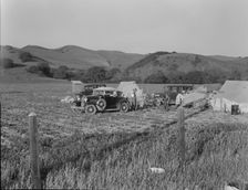 Pea pickers camp near San Jose, California, 1937. Creator: Dorothea Lange