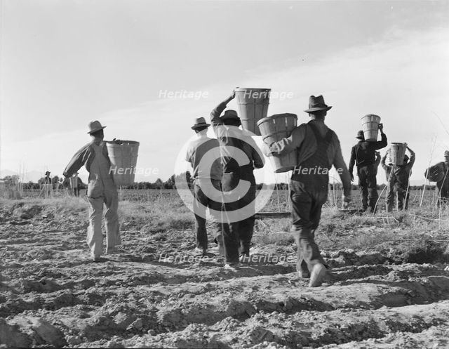 Pea pickers, end of the day, near Calipatria, California, 1939. Creator: Dorothea Lange.