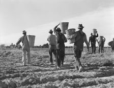 Pea pickers, end of the day, near Calipatria, California, 1939. Creator: Dorothea Lange