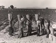 Pea Pickers Line Up on Edge of Field at Weigh Scale, near Calipatria, Im..., 1939, printed ca. 1972. Creator: Dorothea Lange