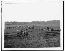 Pea pickers, Mount Morris, N.Y., between 1890 and 1901. Creator: Unknown