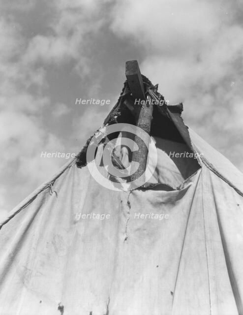 Pea picker's tent near San Jose, California, 1939. Creator: Dorothea Lange.