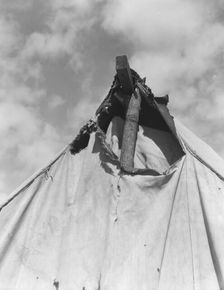 Pea picker's tent near San Jose, California, 1939. Creator: Dorothea Lange