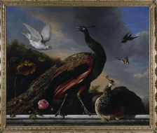 Peacocks, male and female, 1681. Creator: Melchior d'Hondecoeter