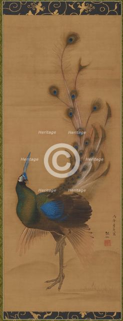 Peacock, 1786. Creator: Mori Sosen.