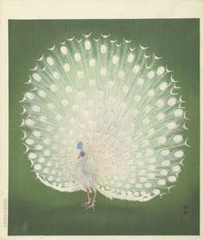 Peacock, 1925-1936. Creator: Ohara, Koson (1877-1945)
