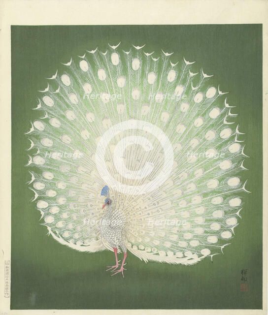 Peacock, 1925-1936. Creator: Ohara, Koson (1877-1945).