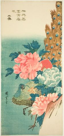 Peacock and peonies, 1830s. Creator: Ando Hiroshige