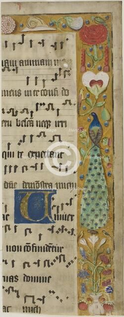 Peacock, Birds, Flowers, Fruit and a Snail in a Decorated Border, with an Illuminated... Creator: Unknown.
