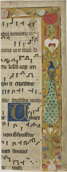 Peacock, Birds, Flowers, Fruit and a Snail in a Decorated Border, with an Illuminated... Creator: Unknown