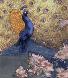 Peacock displaying its tail; scene from "The Jungle Book", 1919. Creator: Paul Jouve