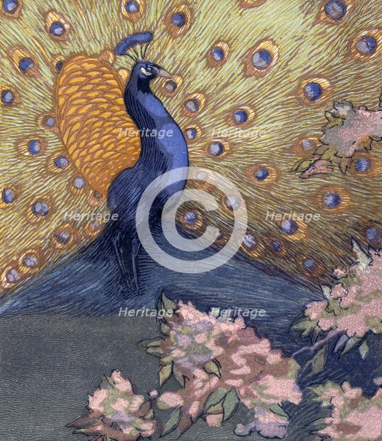Peacock displaying its tail; scene from "The Jungle Book", 1919. Creator: Paul Jouve.