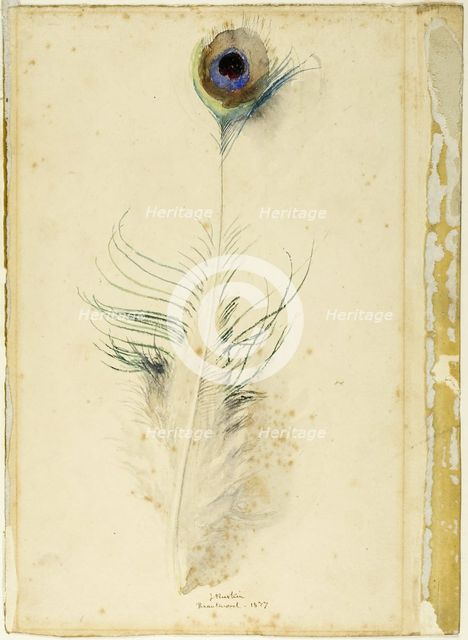 Peacock Feather, 1877. Creator: John Ruskin.