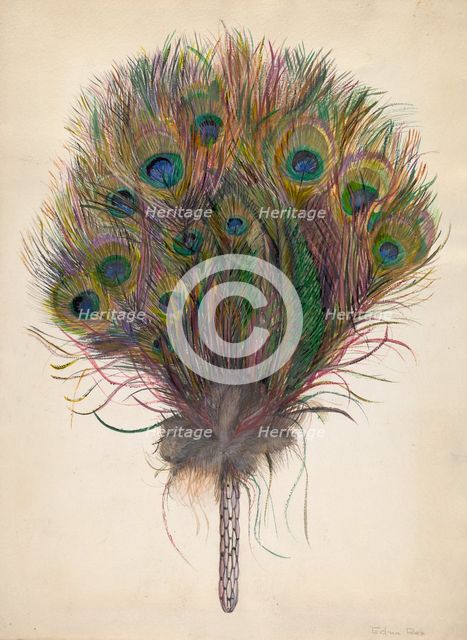 Peacock Feather Fan, c. 1938. Creator: Edna C. Rex.