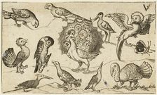 Peacock in centre surrounded by nine other birds, including a turkey, and a butterfly..., 1572. Creator: Virgil Solis