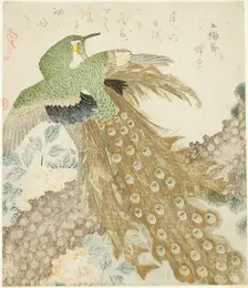 Peacock, Pine Tree, and Peonies, from the series "A Set of Three Petals..., Japan, 1810s. Creator: Kubo Shunman